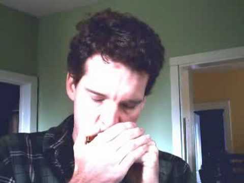 download lagu mp3 mp4 Fields Of Gold Harmonica, download lagu Fields Of Gold Harmonica gratis, unduh video klip Fields Of Gold Harmonica