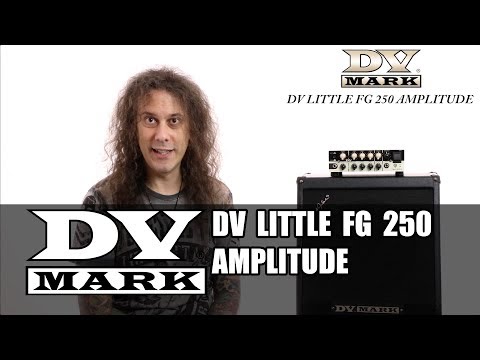 DV Mark FG Little 250 Amplitude Frank Gambale | Reverb