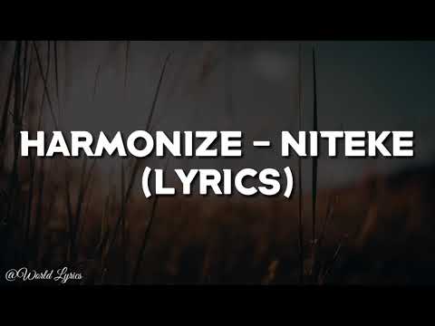 Harmonize - Niteke (Videos Lyrics)