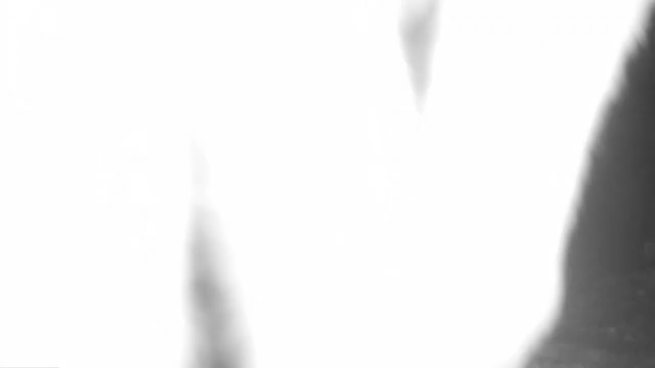 S1E3: Curious Coyote Pups(Part 2)