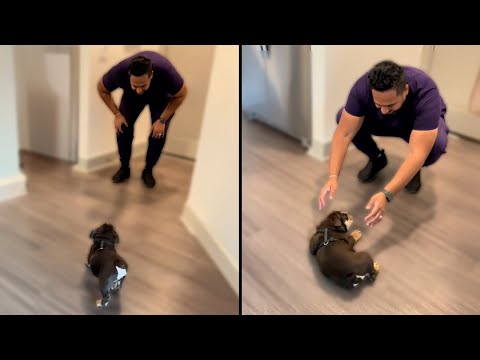 Когда тебя по-настоящему ждут