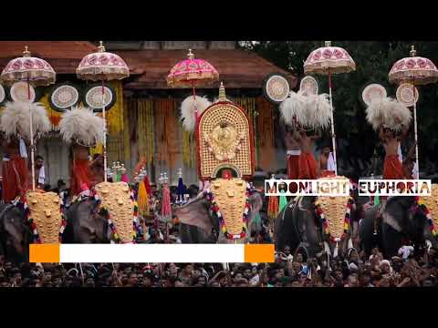 Kaanthaa Njaanum Varaam - Thrissur Pooram Song -2022- 2023