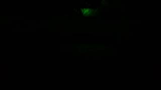 [影廊]　夜Live