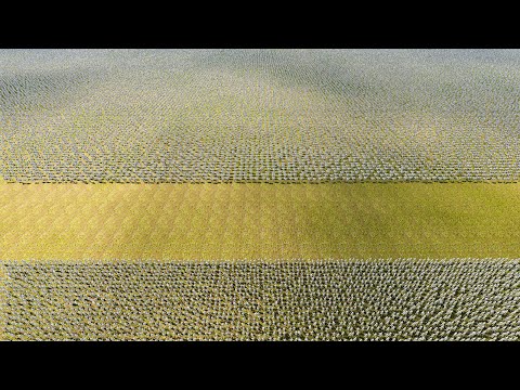 5.000 501ST CLONE TROOPERS vs 500.000 ROBO SOLDIERS | Ultimate Epic Battle Simulator 2