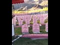 Kargil Vijay Diwas Status