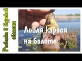 Ловля карася на болоте. Поймал вьюна. Рыбалка на удочку в мае Ловля карася на болоте. Поймал вьюна. Рыбалка на удочку в мае