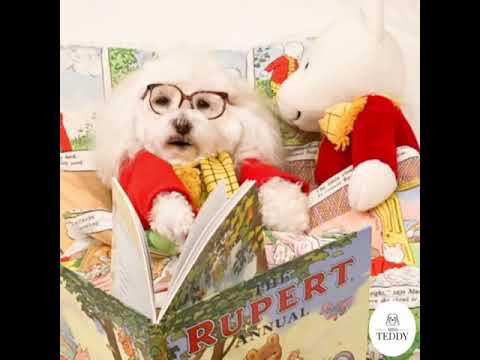 Rupert the Bear