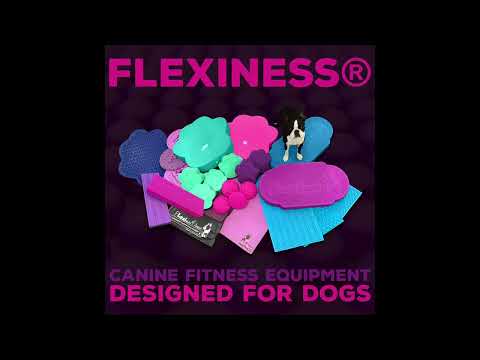Flexiness Overview 1