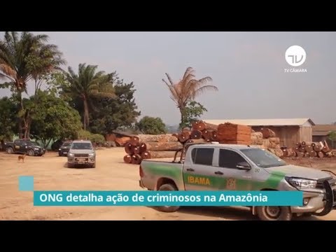 Human Rights Watch  apresenta relatório sobre violência na Amazônia - 18/09/19