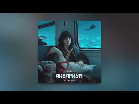 ray! - Аквариум (Official Audio, 2024)