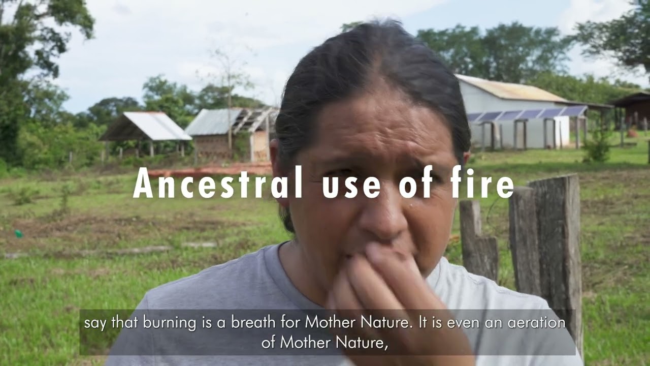 Amazon Regional Dialogue Fire meaning