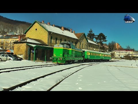 LDE1250 69-0005-9 la Manevră/Shunting in Gara Anina Station [Winter Edition] - 15 February 2019