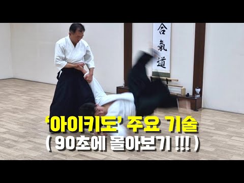 【아이키도 안산도장】 '아이키도' 주요 기술 90초에 몰아보기!!!