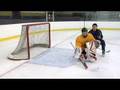 ProHybrid Training DVD Vol. 1-hockey goaltending ...