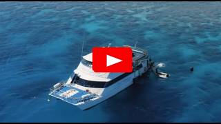 Reef Experience - all inclusive reef cruise
