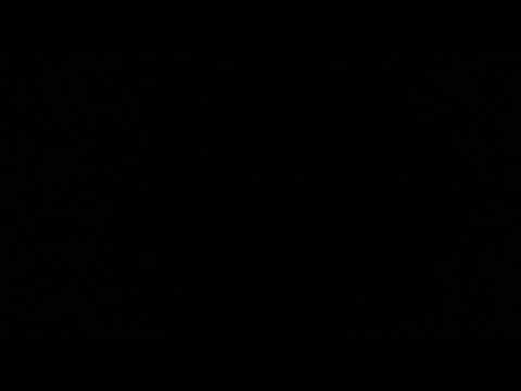 Dis Koliber---szary Matizek