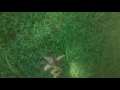 Wizards S1e1
