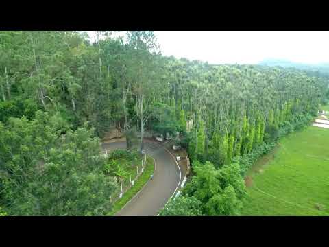 Iniya Organic Estate/Kolli Hills/Exclusive Single-Origin Estate-Coffee & Spices/An amazing view!