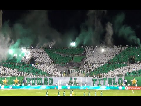 "TIFO | Deportivo Cali vs Millonarios 1-0 2015 - Frente Radical Cantos HD" Barra: Frente Radical Verdiblanco • Club: Deportivo Cali