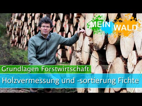 Holzvermessung und Holzsortierung bei der Fichte - Grundlagen