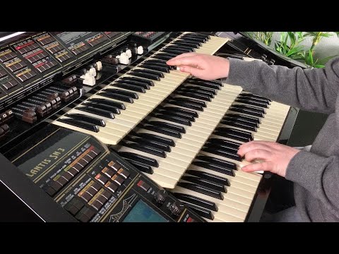 Moonglow (Swing & Jazz Accordion) / Florian Hutter - Wersi Atlantis