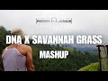 DNA x Savannah Grass - Mical Teja x Kes (Mashup)
