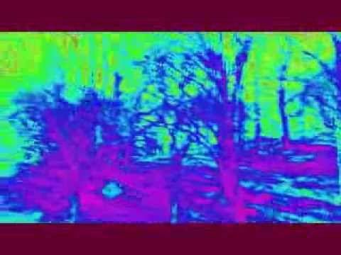 Holy Haze - Rising Star