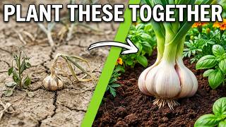 Garlic Companion Planting: The 5 Best Plants And 7 to Avoid
