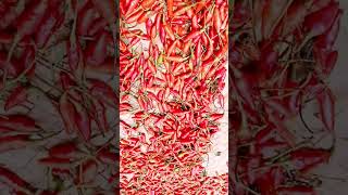 Download lagu 18th October #song #love #comedy #comedyforever #funnymemes #funny #memes #funnyimages #shortvideos mp3