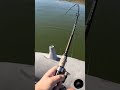 Video Thumbnail for Pike picks up the jig #fishing #pikefishing #lowrance #saskatchewan