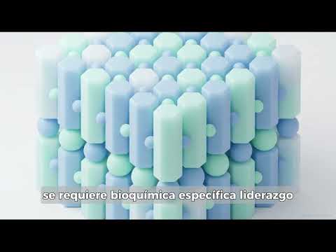 ENFERMERIA EN PREVENCION DE CARIES DENTAL