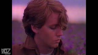 The Triffids - Red Pony (1983)
