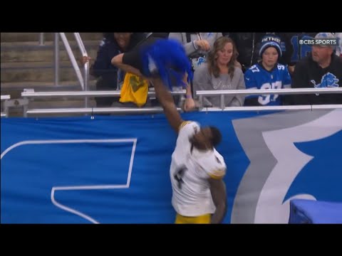 💔 Pittsburgh Steelers receiver DK Metcalf PUNCHES Detroit Lions fan in stands 
