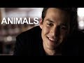 Animals Kai Parker