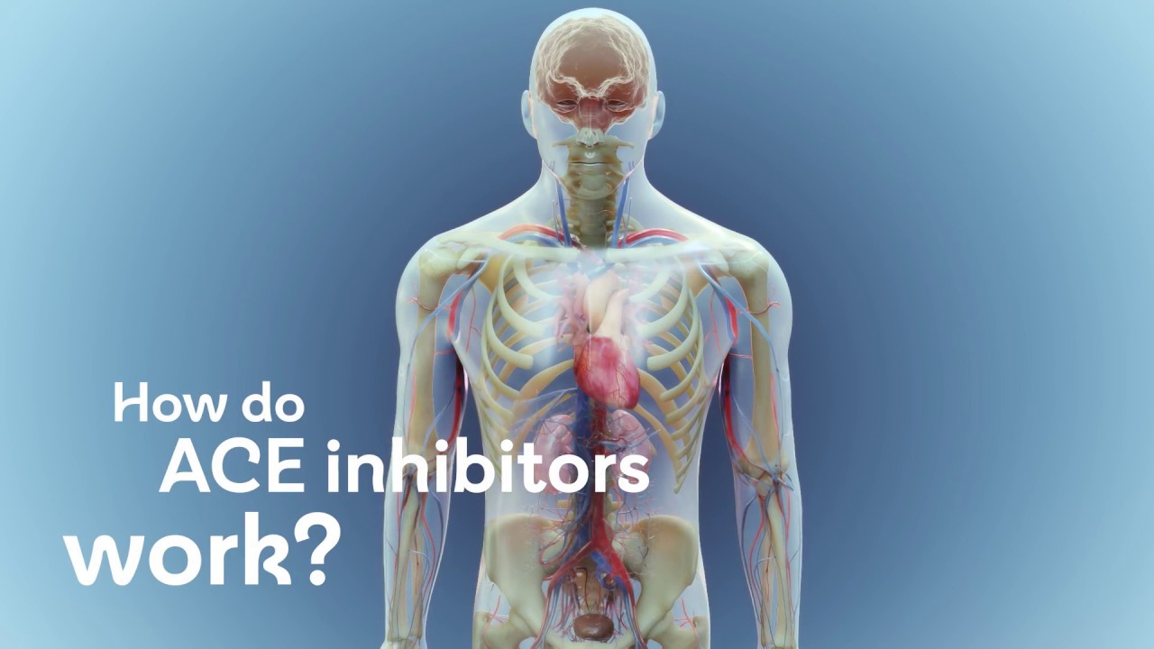 How do NS5B inhibitors work?