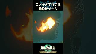 風で曲がる槍【ゼルダの伝説ティアーズオブザキングダム】
