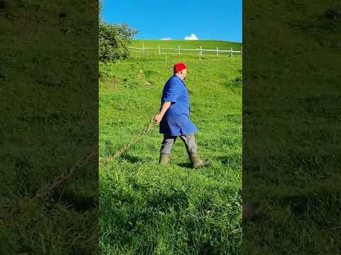 Lamborghini vs. Lindner