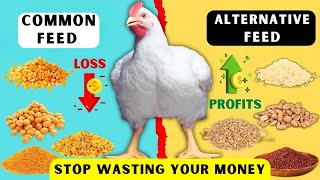 Download lagu 9 Alternatif Pakan Murah Terbaik untuk Menghemat Biaya Peternakan Unggas | HENTIKAN Pemborosan Uang untuk Bahan-Bahan Mahal mp3 Download lagu 9 Alternatif Pakan Murah Terbaik untuk Menghemat Biaya Peternakan Unggas | HENTIKAN Pemborosan Uang untuk Bahan-Bahan Mahal mp3