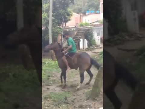 só foi sequência de tapa e pey