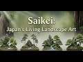 Saikei – Japan’s Living Landscape Art | Miniature Gardens in Motion