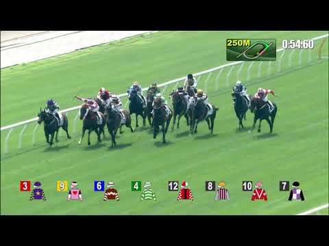 12/2/2022 (416) Right Honourable -  R Maia