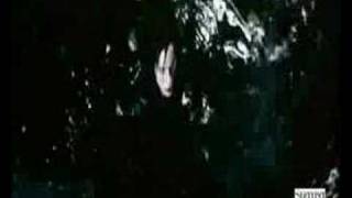 Radakka - Nightcrawler