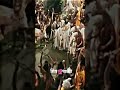 Feel Tha Song Chandni Raat Taro Ki Barat Ho Shivparvti Mahadev Shots YoutubeShots Status King 934