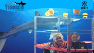 DIA 2 Expo Tiburon140