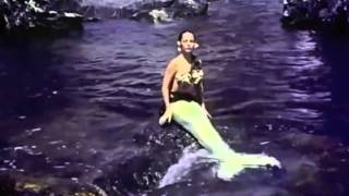 Lemaitre-"High Tide" Oliver Nelson & Tobtok Remix [MUSIC VIDEO]