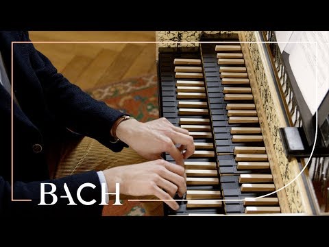 Bach - Six little preludes BWV 933-938 - Alard | Netherlands Bach Society