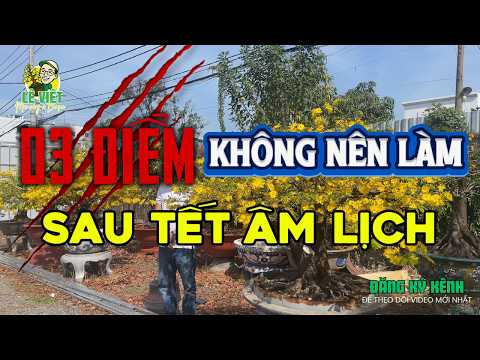 3 things you shouldn't do when caring for yellow apricot blossom trees after the Lunar New Year 2...