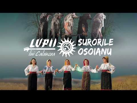 La portiță la Gheorghiță, Iubește Gheorghe - Surorile Osoianu și LUPII lui Calancea