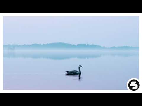 Jonas Schmidt, Fenox & Laeko - Take What's Yours (feat. Mingue) [Sirup Music]