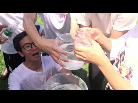 Wang Xinyu's internship design